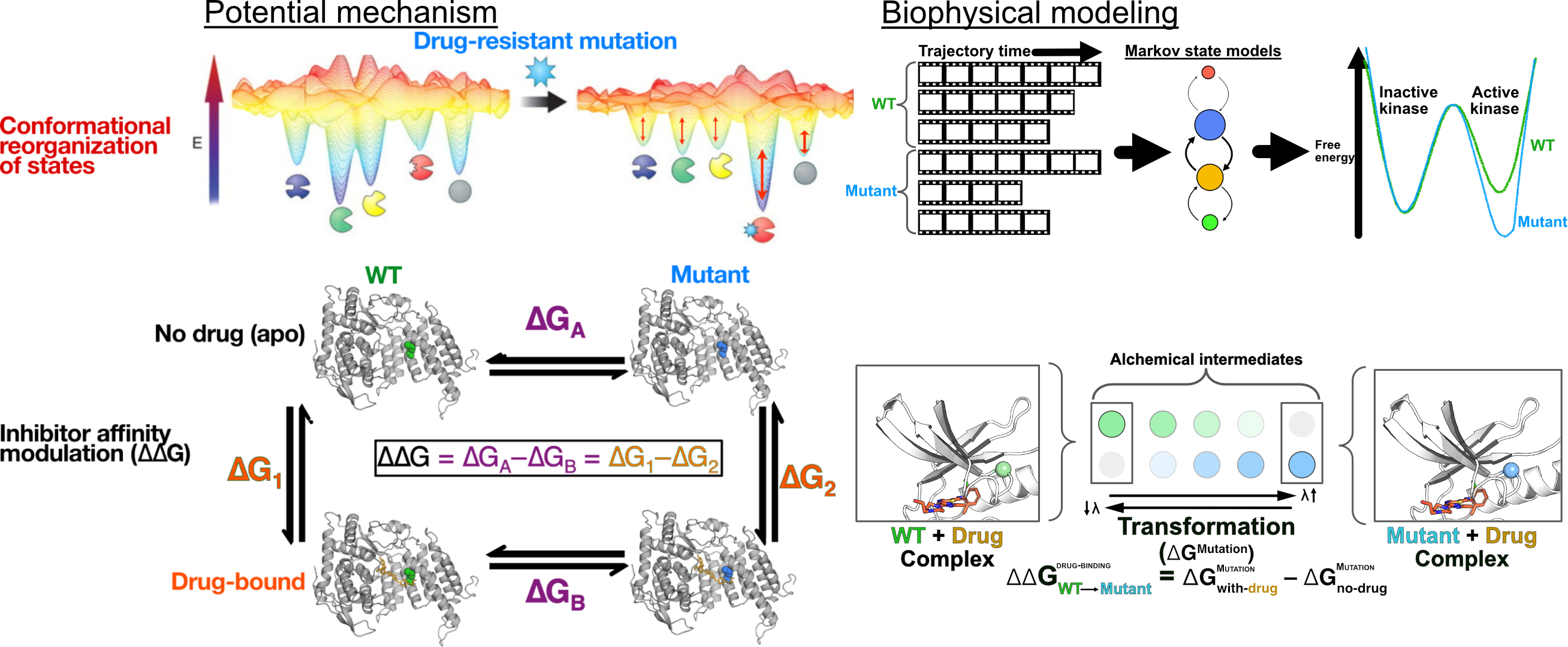 mechanisms-image